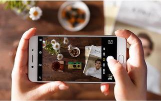 国产手机在线观看,在线观影畅享无限